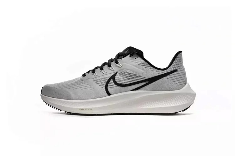 Zoom Pegasus 39