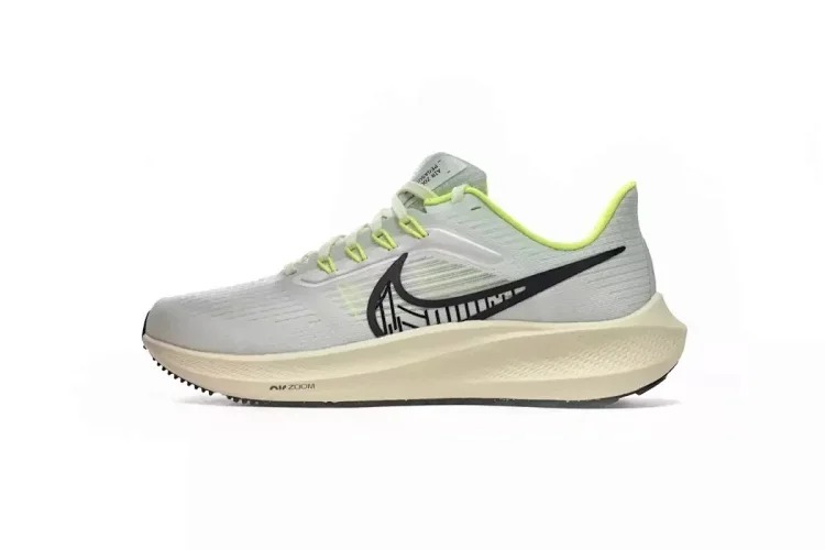 Zoom Pegasus 39