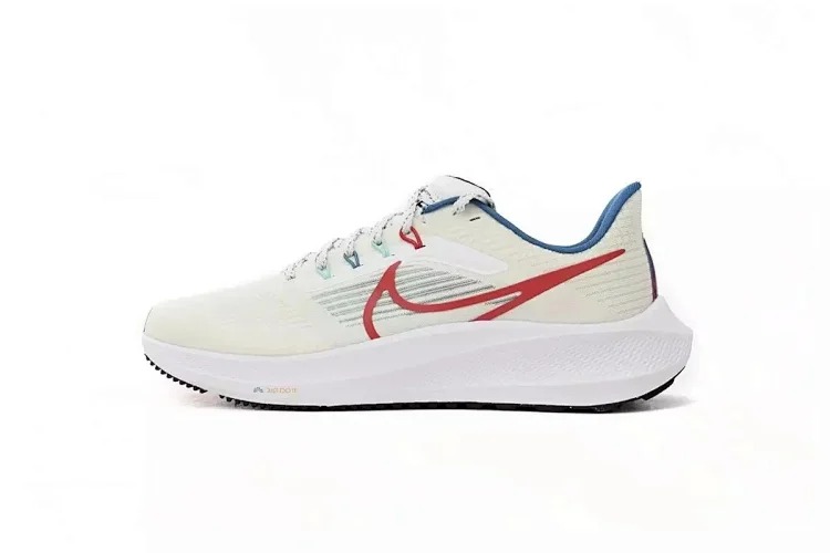 Zoom Pegasus 39